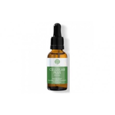 Comprar segle cellular plus serum 15ml.