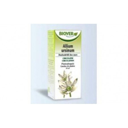 Comprar ext. allium ursinum (ajo silvestre) 50ml.