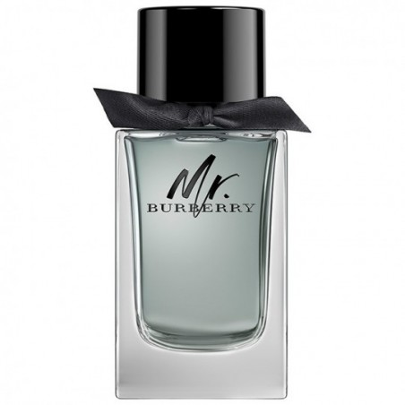 Comprar Burberry Mr Burberry Men Edt