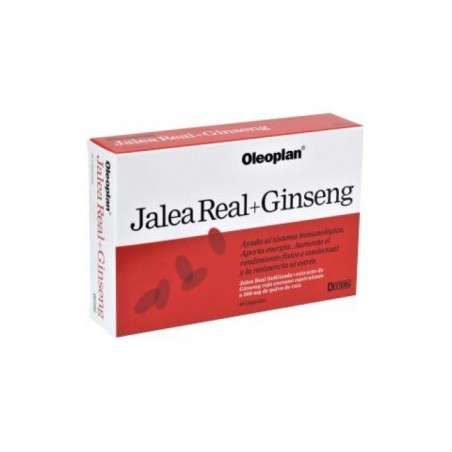 Comprar OLEOPLAN ginseng 30cap de geleia real.