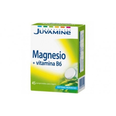 Comprar JUVAMINE MAGNESIUM B6 45comp.