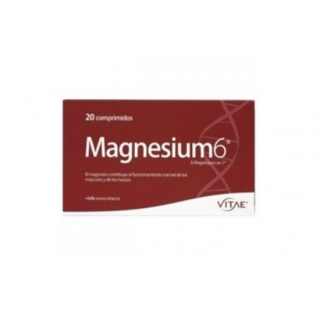 Comprar MAGNESIUM-6 20comp.