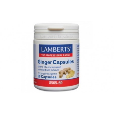 Comprar GINGER 12000mg. GINGER 60cap.