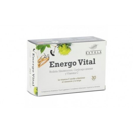 Comprar ENERGO VITAL 30cap.