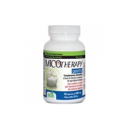 Comprar MICOTHERAPY GASTRO 90cap.