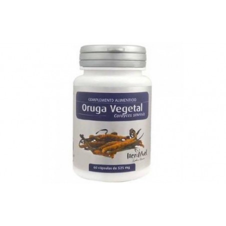 Comprar VEGETAL NETTLE (cordyceps sinensis) 60cap.