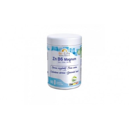 Comprar ZINC B6 MAGNUM 60cap.