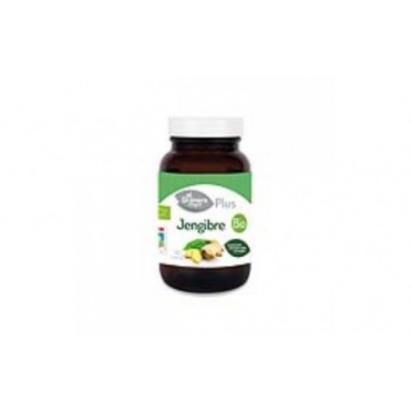 Comprar GINGER 500mg. 90cap. BIO