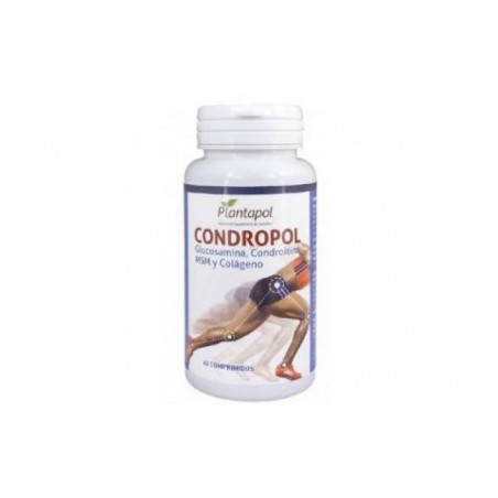 Comprar CONDROPOL 60comp.