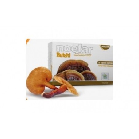 Comprar REISHI 30cap.