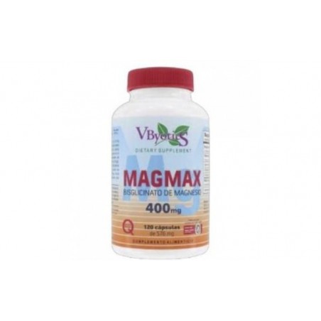 Comprar MAGMAX biglicinato 120cap.