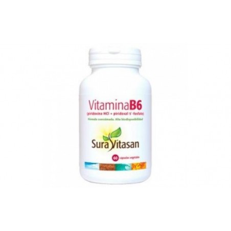 Comprar VITAMIN B6 60cap.