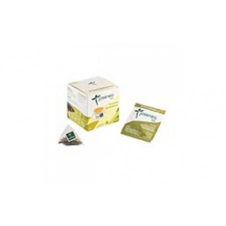 Comprar TEA 10pyramides ORGÂNICA VERDE-HIERBABUENA Envolvente Orgânica