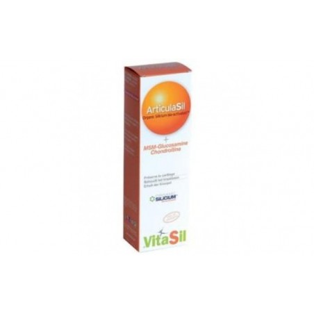 Comprar VITASIL articulasil MSM gel 225ml.