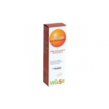 Comprar VITASIL articulasil MSM gel 50ml.