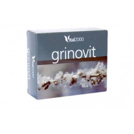 Comprar GRINOVIT 60comp.