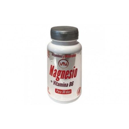 Comprar MAGNESIUM vit. B6 90comp.