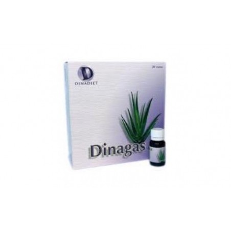 Comprar DINAGAS 4 20vales