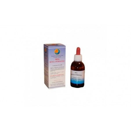 Comprar MSA BETULA Gemas PUBENCENS 50ml.