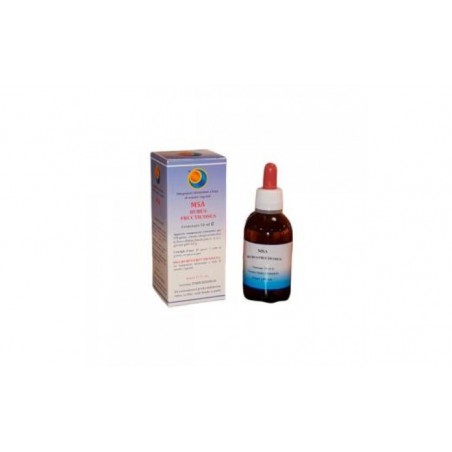 Comprar MSA RUBUS FRUCTICOSUS rebentos jovens de 50ml.