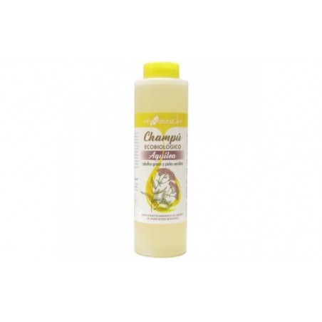 Comprar OILY HAIR SHAMPOOO 500ml. BIO