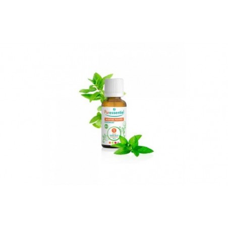 Comprar óleo essencial orgânico de hortelã-pimenta 10ml.