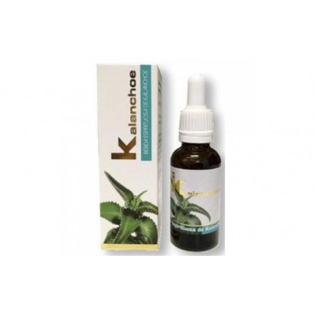 Comprar KALANCHOE 30ml.