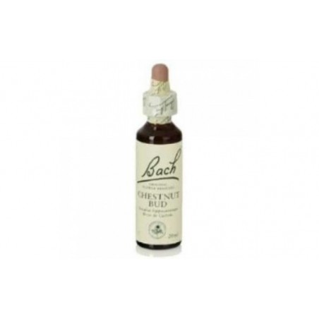 Comprar CHESTNUT BUD F.B. 20ml. (Flores de Bach)