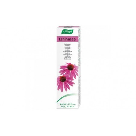 Comprar DENTAFORCE ECHINACEA pasta 100gr.