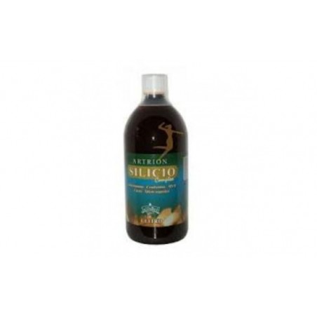 Comprar ARTRION SILICON complexo 1 litro