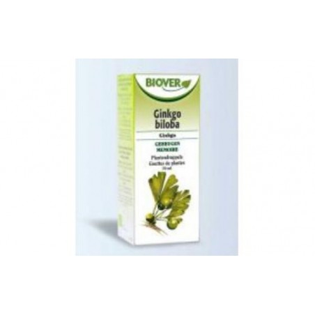 Comprar EXT. GINKGO BILOBA 50ml.