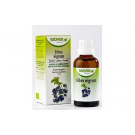 Comprar EXT. RIBES NIGRUM (groselha preta) 50ml.