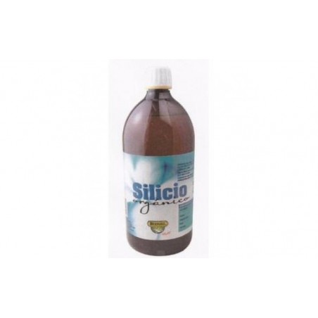 Comprar SILICON 1 litro