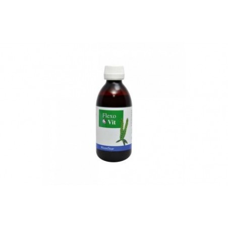 Comprar FLEXOVIT SYRUP 250ml