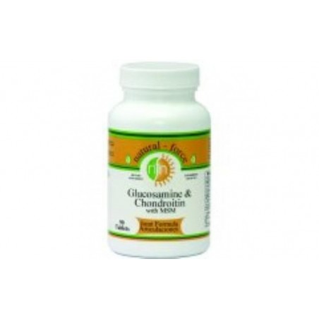 Comprar GLUCOSAMINE CONDROITIN MSM 90comp.