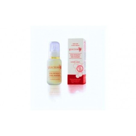 Comprar SILICIUM creme de rosehip 50ml.