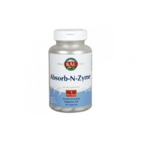 Comprar ABSORB-N-ZYME 90comp.