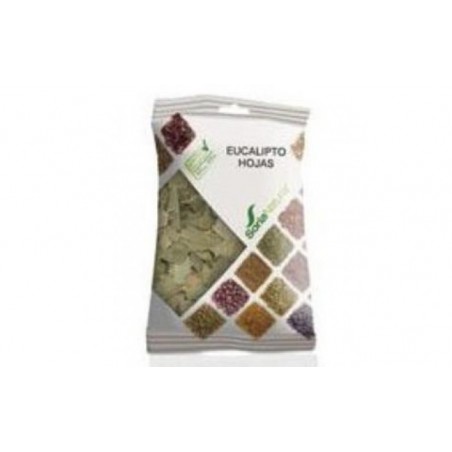 Comprar EUCALYPTUS LEAVES saco 70gr.