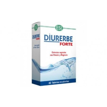 Comprar DIURERBE FORTE 40comp.