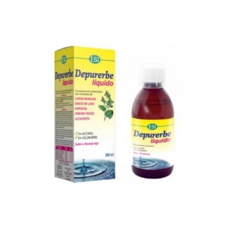 Comprar Xarope de DEPURERBE 250ml.