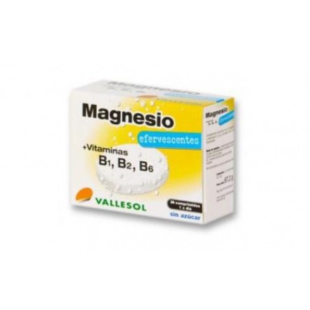 Comprar VALLESOL MAGNESIUM B EFERVESCENT 24comp.