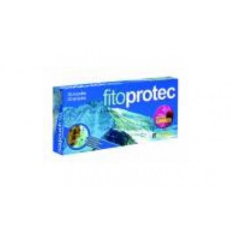 Comprar FITO PROTEC com echinacea 20amp.